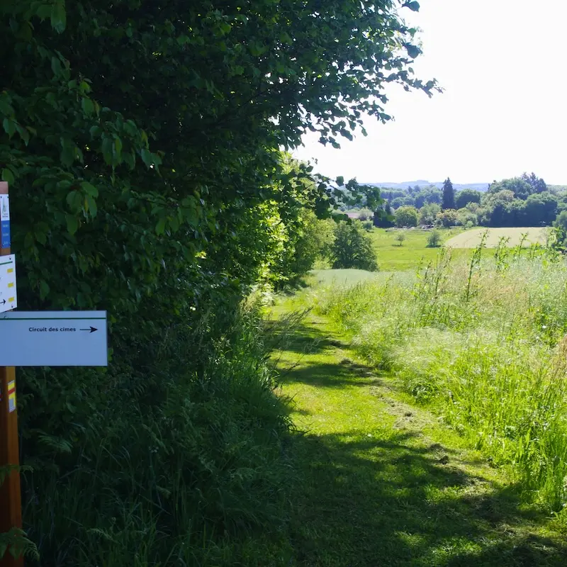 Carrefour des chemins du Puy du Boeuf(Champnétery) - Mai 2025