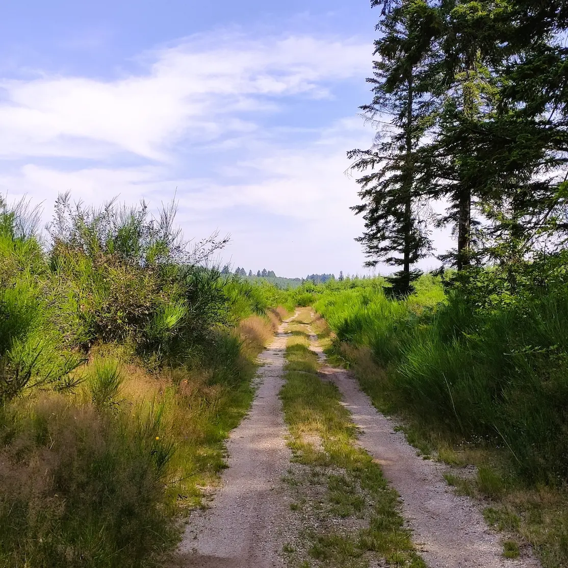 Champnétery - Chemin du Bois Jaury