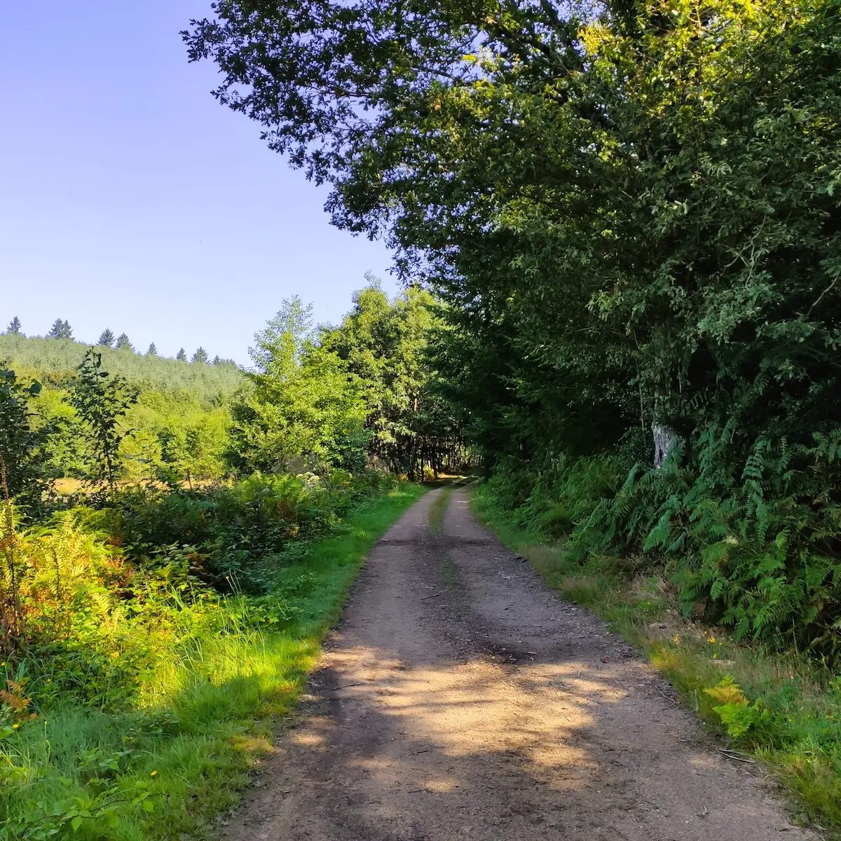Champnétery - Circuit des cimes