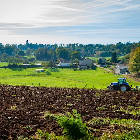 Chaptelat catalacoise 3