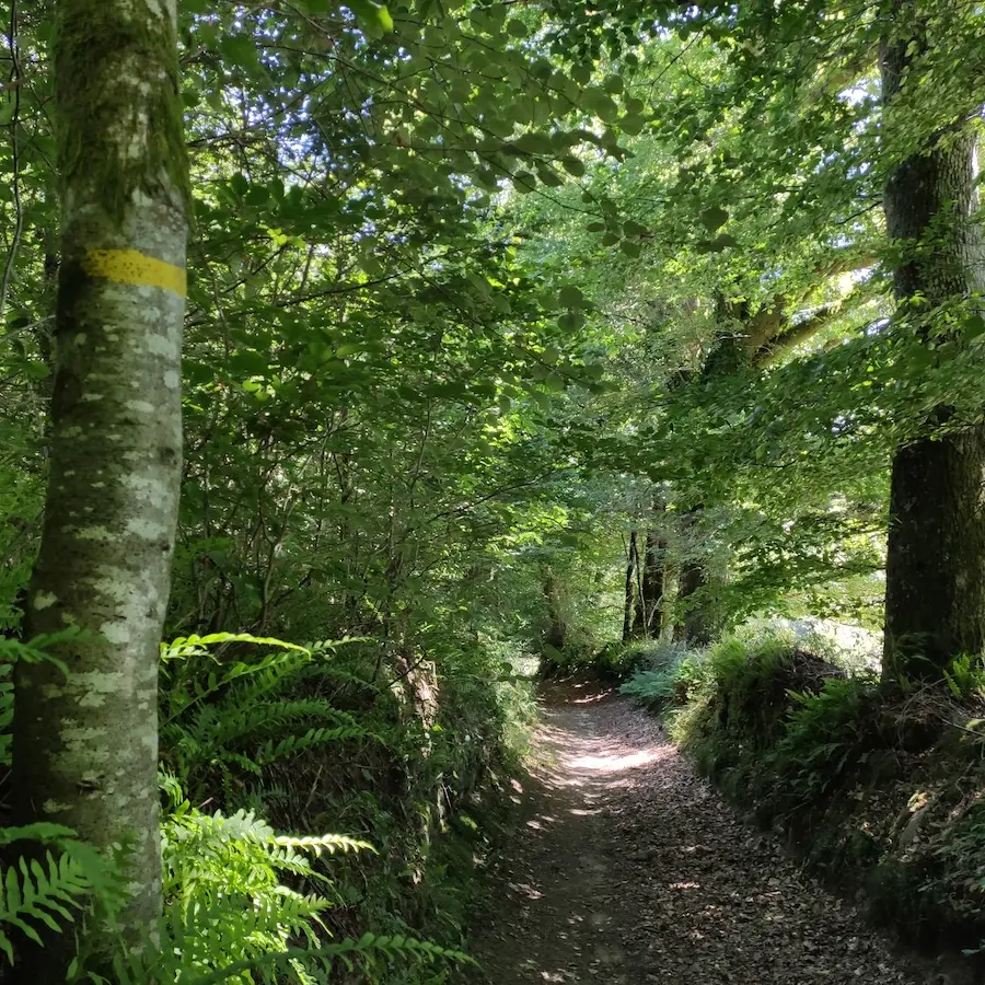 Chemin creux de Beaumont-du-Lac - (c)Pays Monts et Barrages