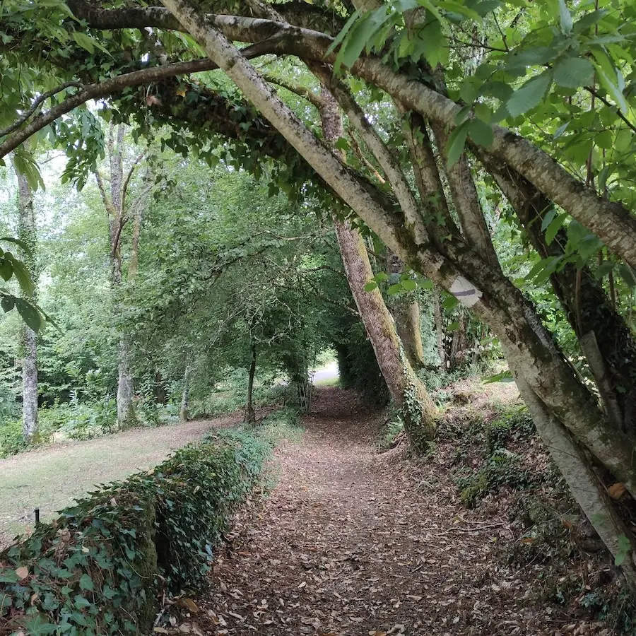Chemin du Larron(c)Pays Monts et Barrages