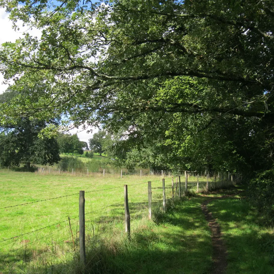 Chemin du Moulin Blanc