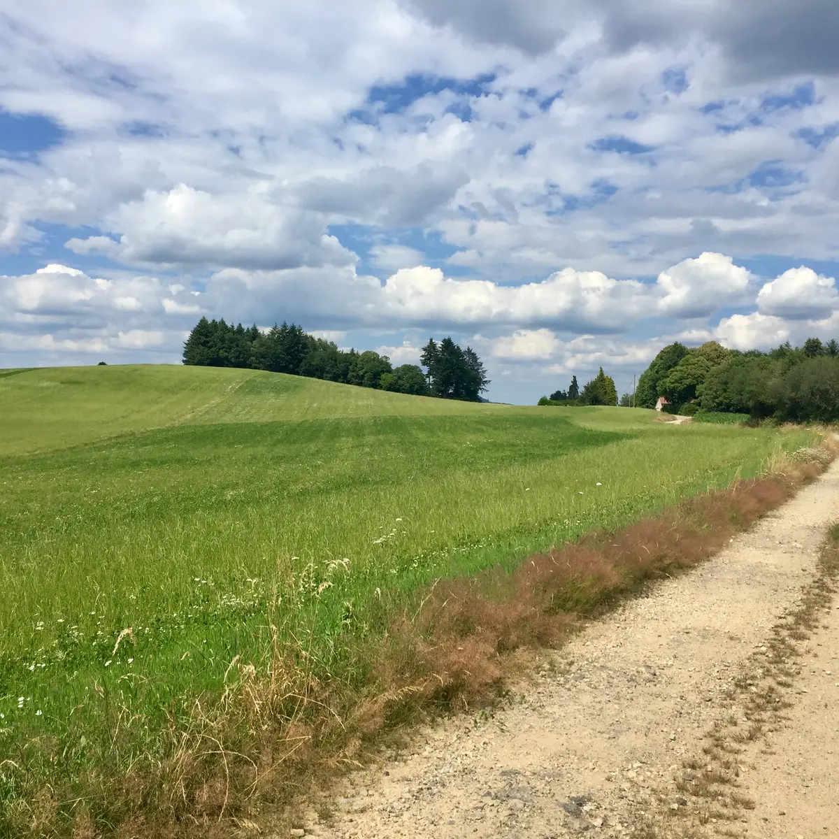 Circuit Cheissoux  (9)