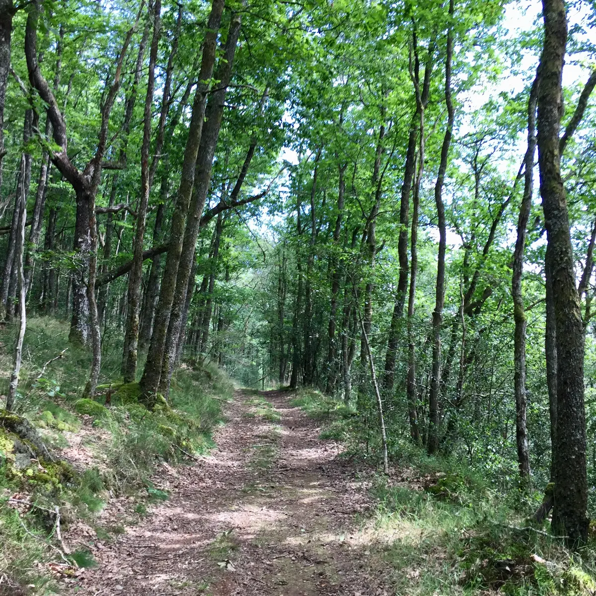 Circuit chapelle Grigeas