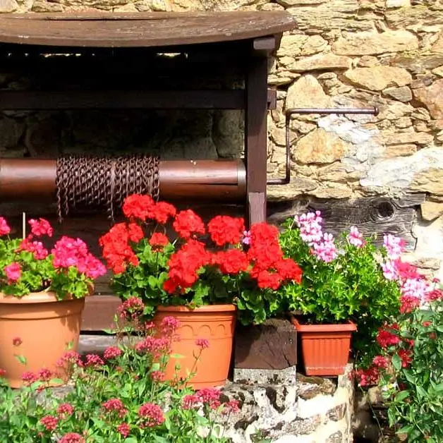 Sentier La Voie romaine_1