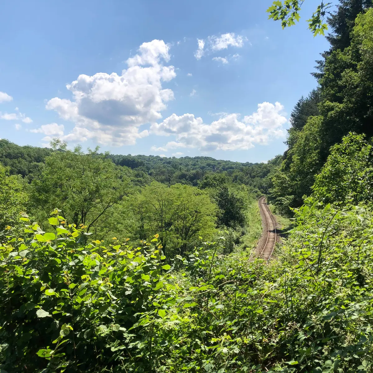 Eymoutiers_Gorges de la Vienne