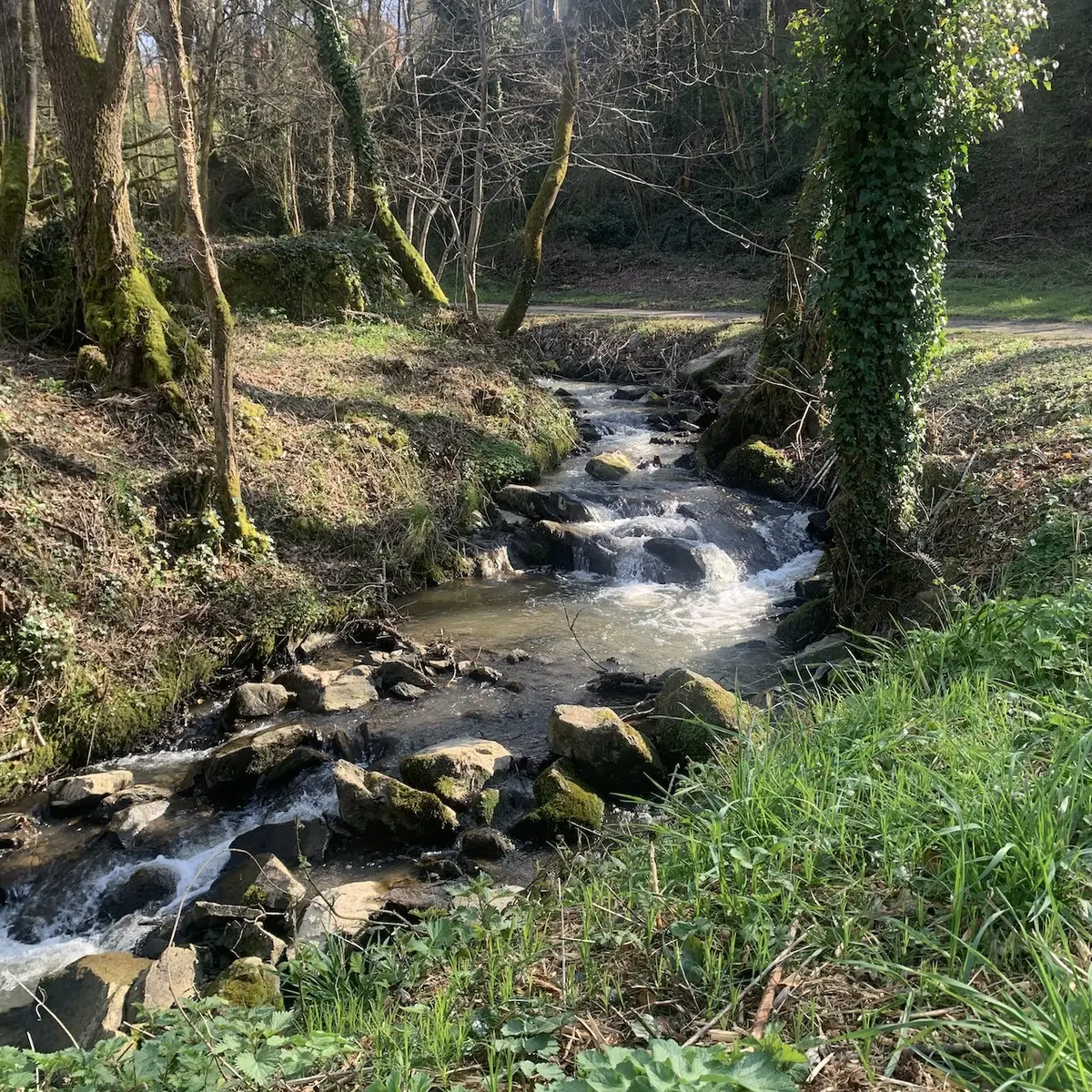 les rives du rigouroux