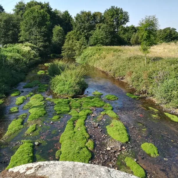 L'Aurence au niveau de la rue du Mas Loge