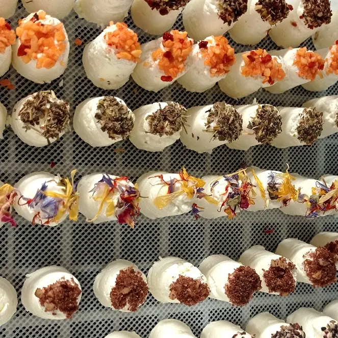 Lait secret des sources fromage