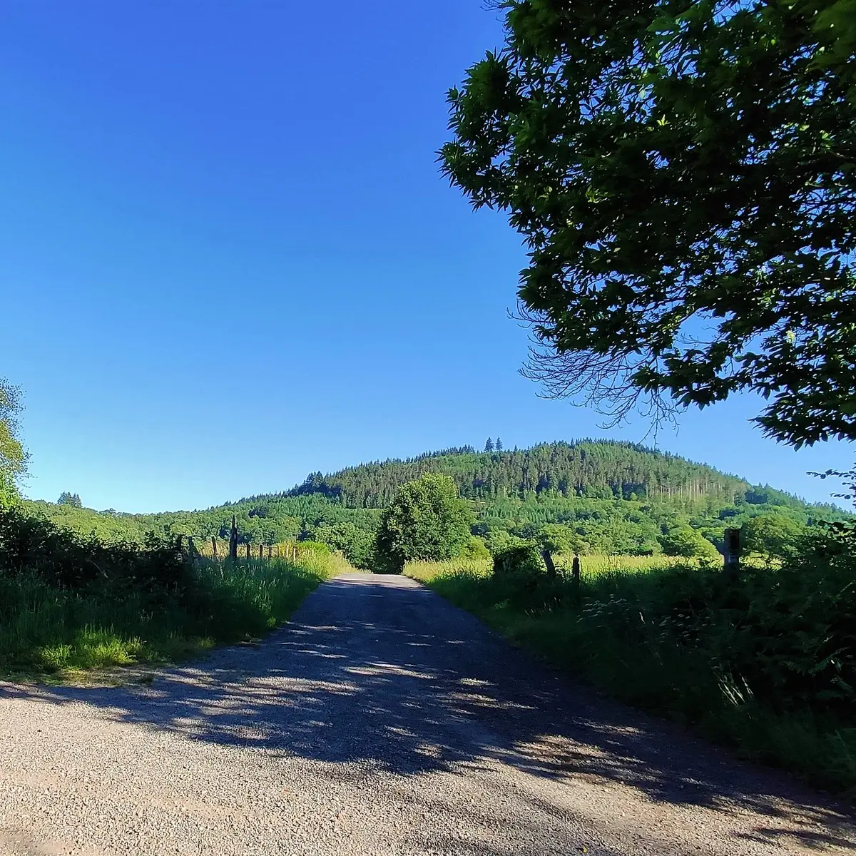 POI 3 - Vue sur le Mont Larron depuis la croix de Lachaud
