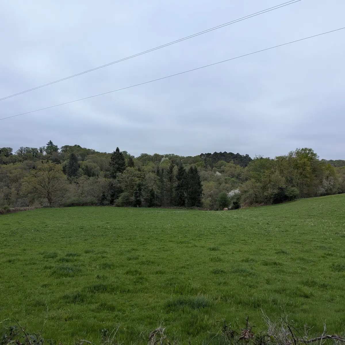 PXL_20260410_080422210