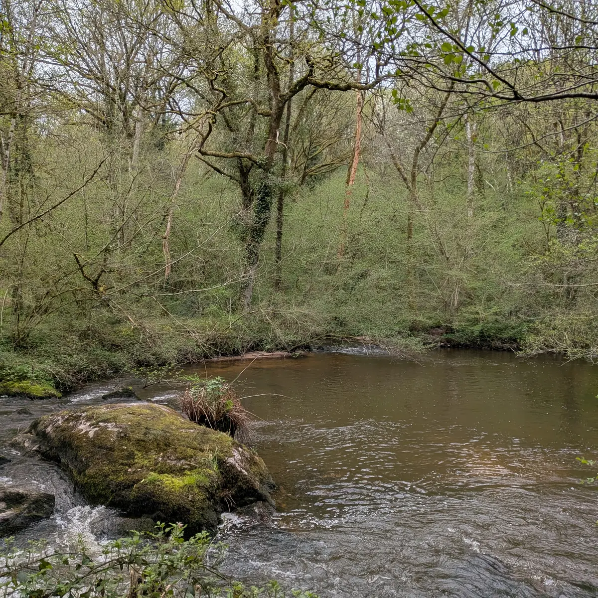 PXL_20260410_082224184.MP