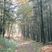 Paysage-onglet-general