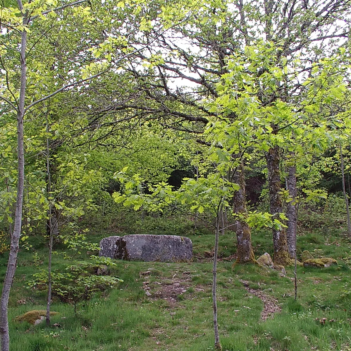 Peyrat Bac à la cube