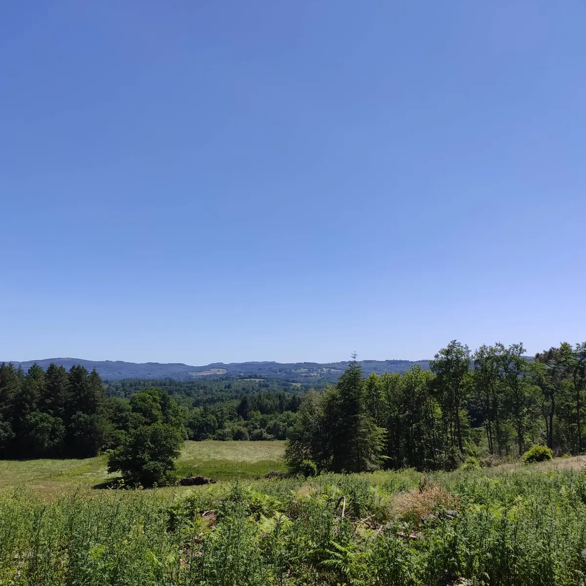 Photo vitrine - Vue sur la vallée de la Maulde depuis le Puy du Genêt
