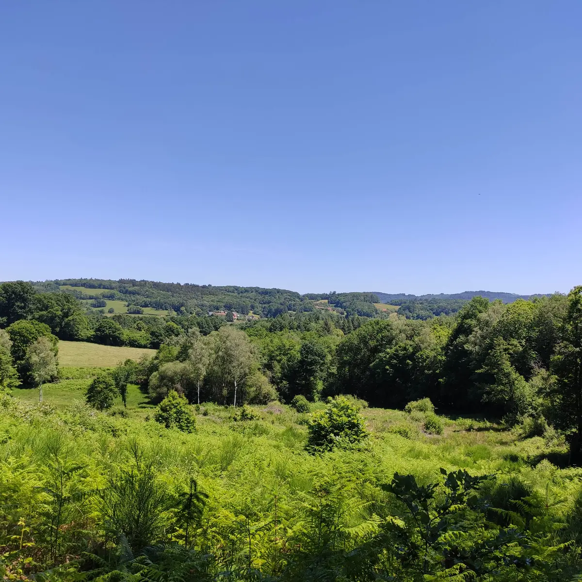 Photo vitrine 2 - Vue sur Conjat