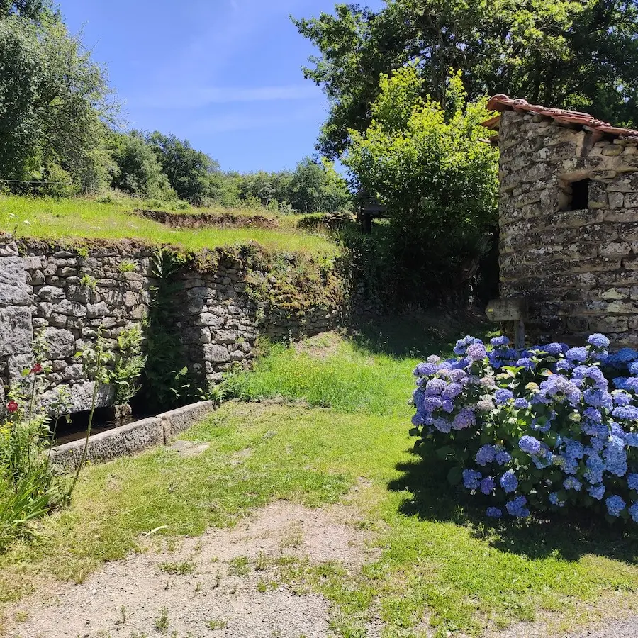 Quenouille - Peyrat-le-Château - (c) Pays Monts et Barrages