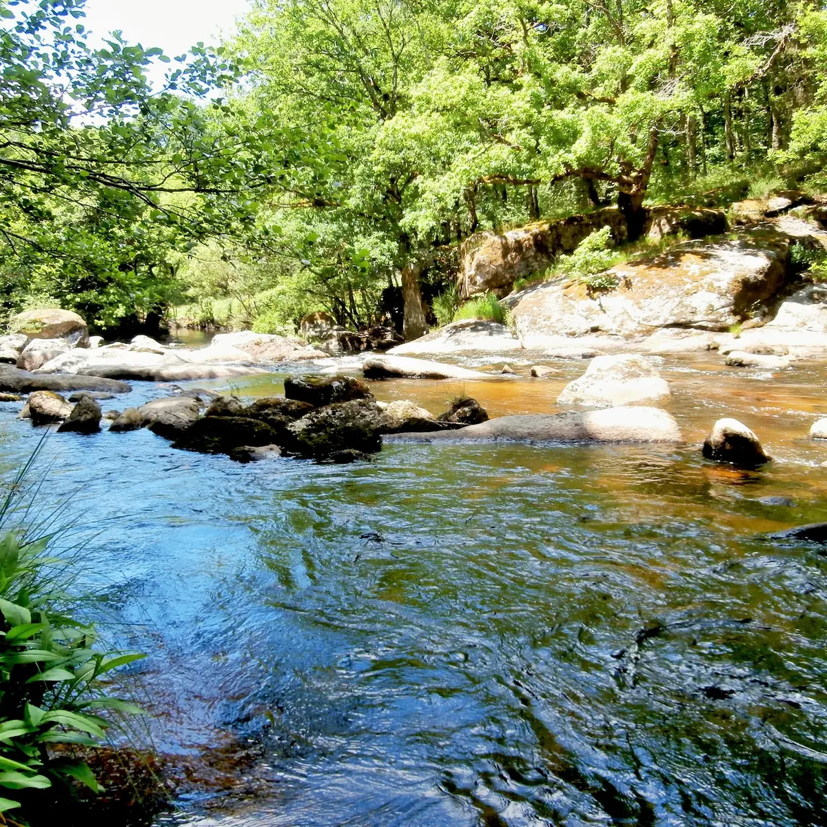 REMPNAT Negremont rochers 2 -