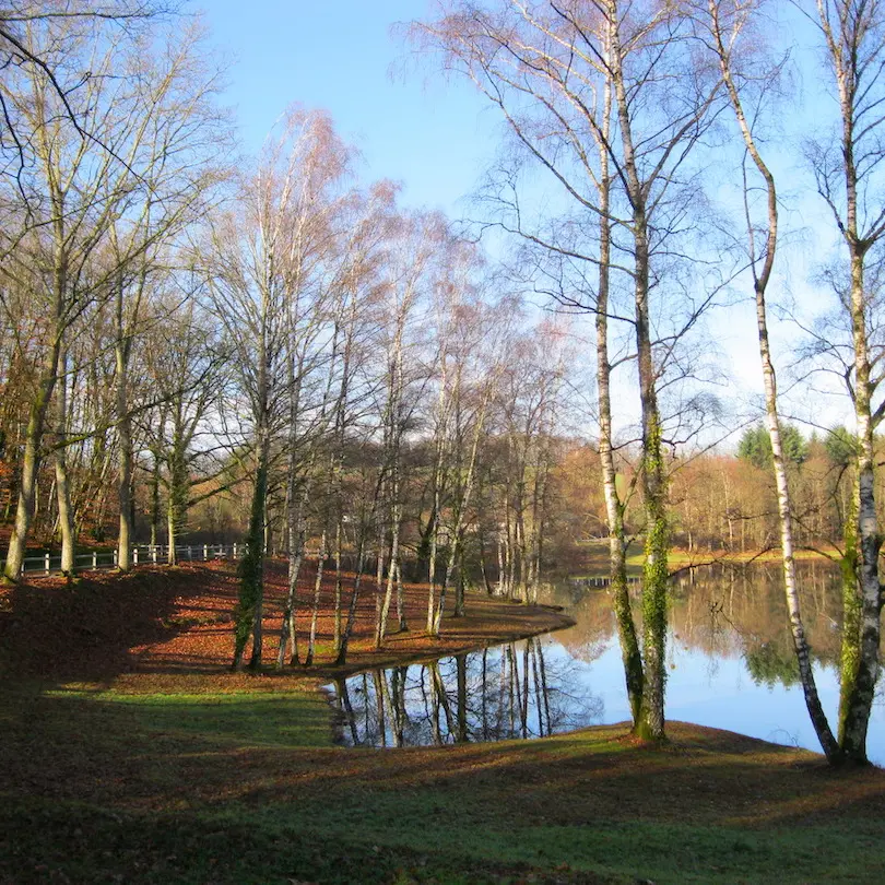 Réserve d'eau de la Mazelle en fin d'automne web