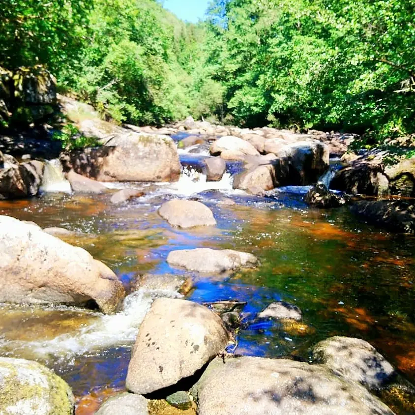 Rochers de Négremont  (1)