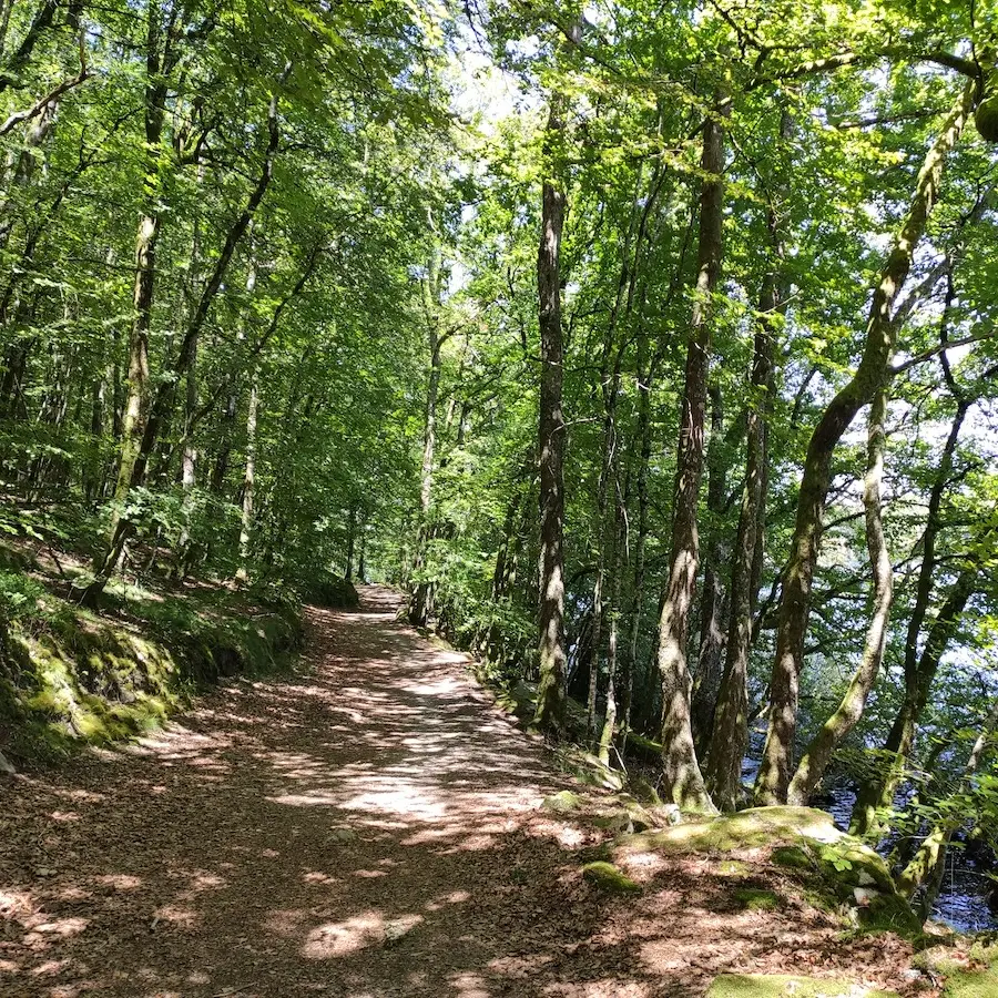Sentier de rive du lac de Vassivière - Beaumont-du-Lac  (c) Pays Monts et Barrages