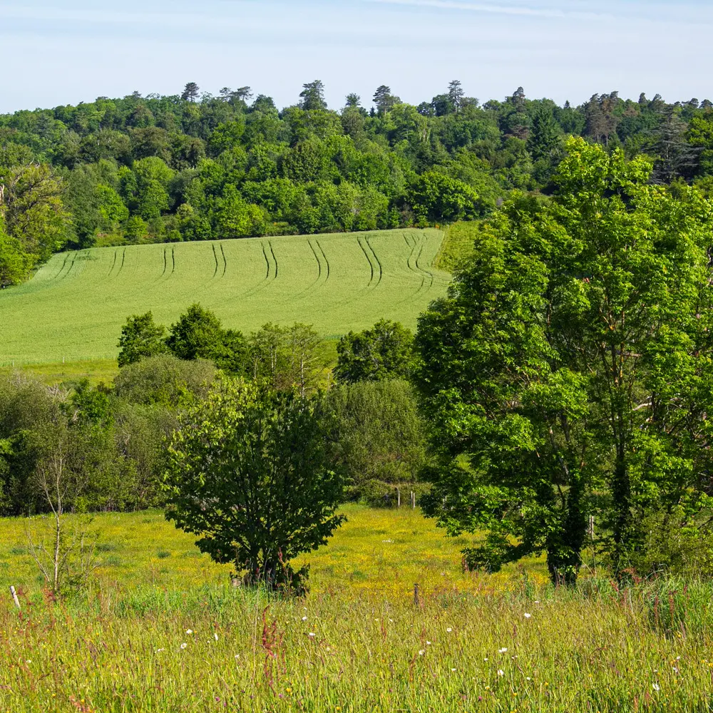 St Jouvent Les Carrieres