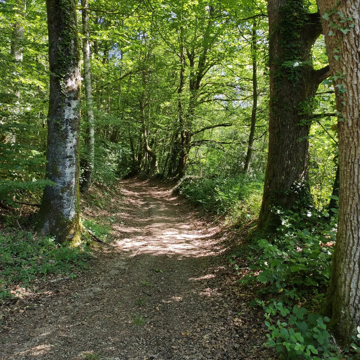 Sur le chemin - le Passadoux