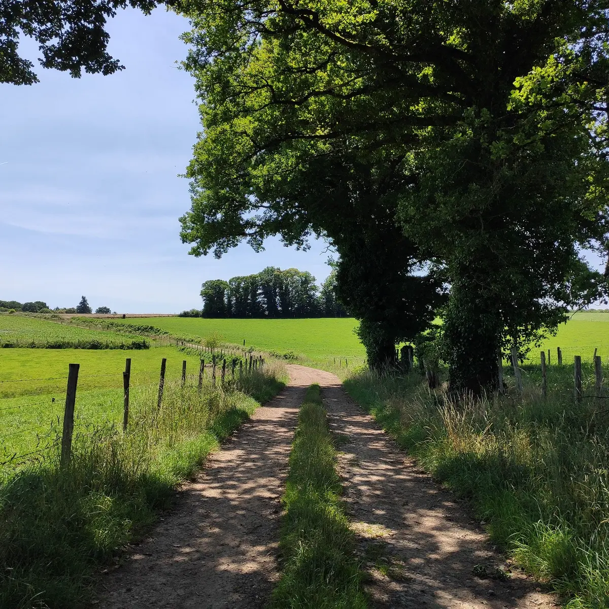 Sur le chemin du Puy la Brousse (4)