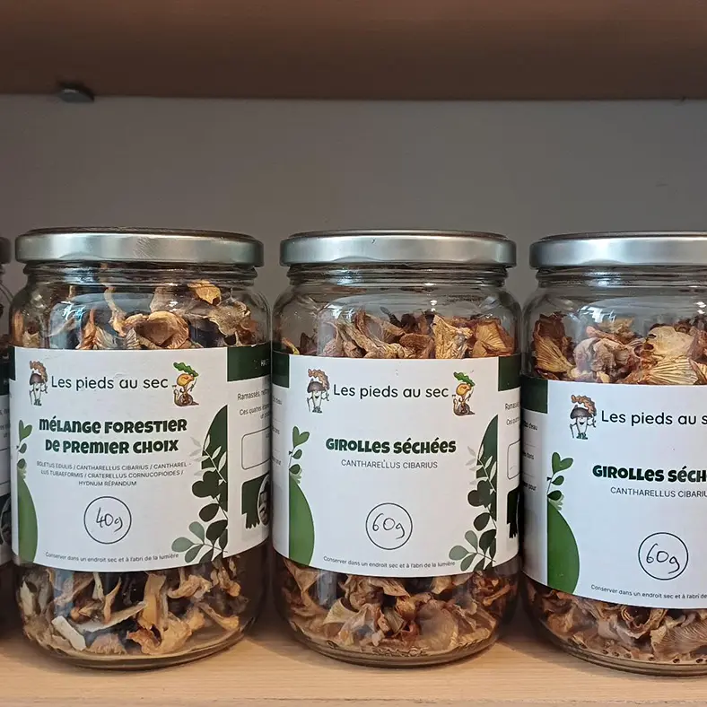 Thouron_Les_pieds_au_sec