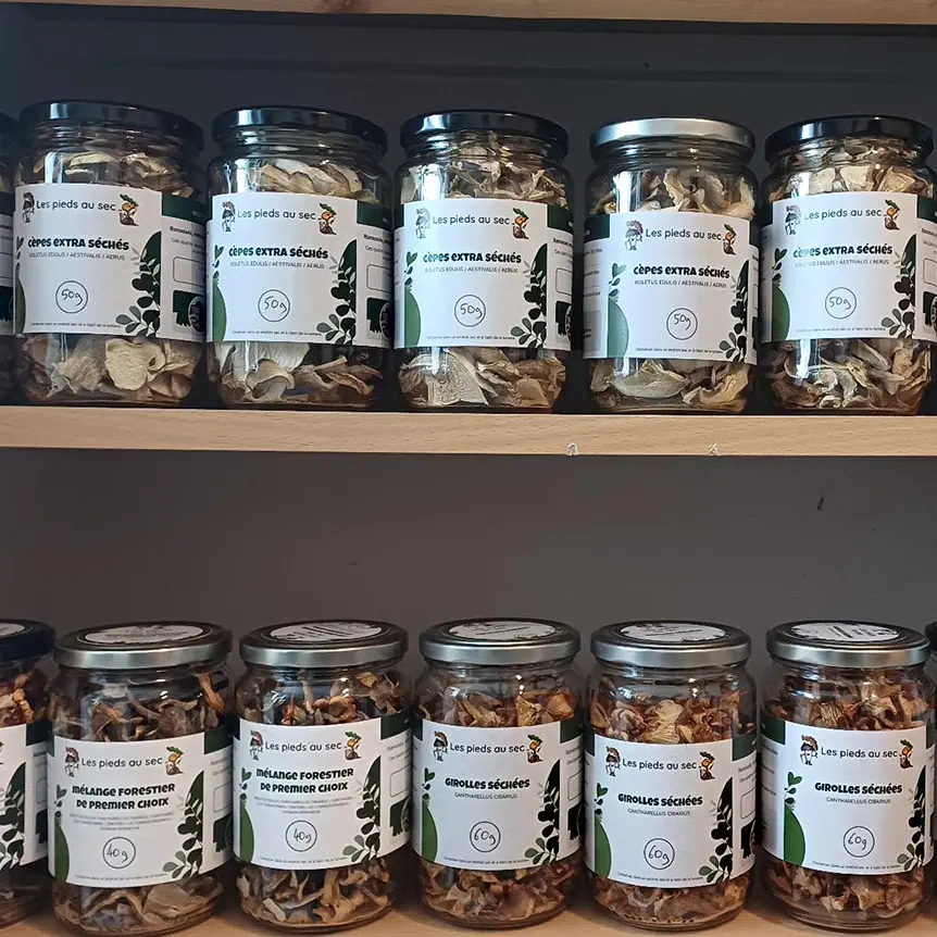 Thouron_Les_pieds_au_sec