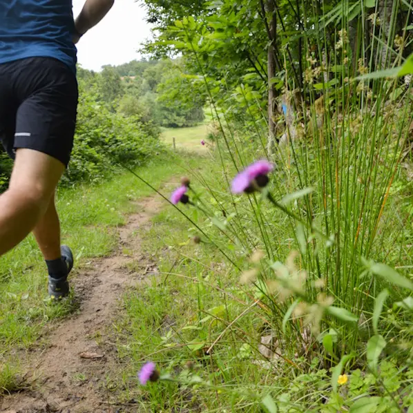 Trail Parscours des Daims Les Cars