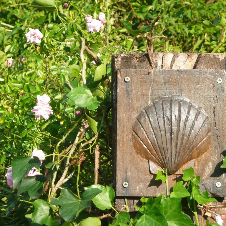 Coquille sur La Voie de Rocamadour en Limousin et Haut-Quercy_3