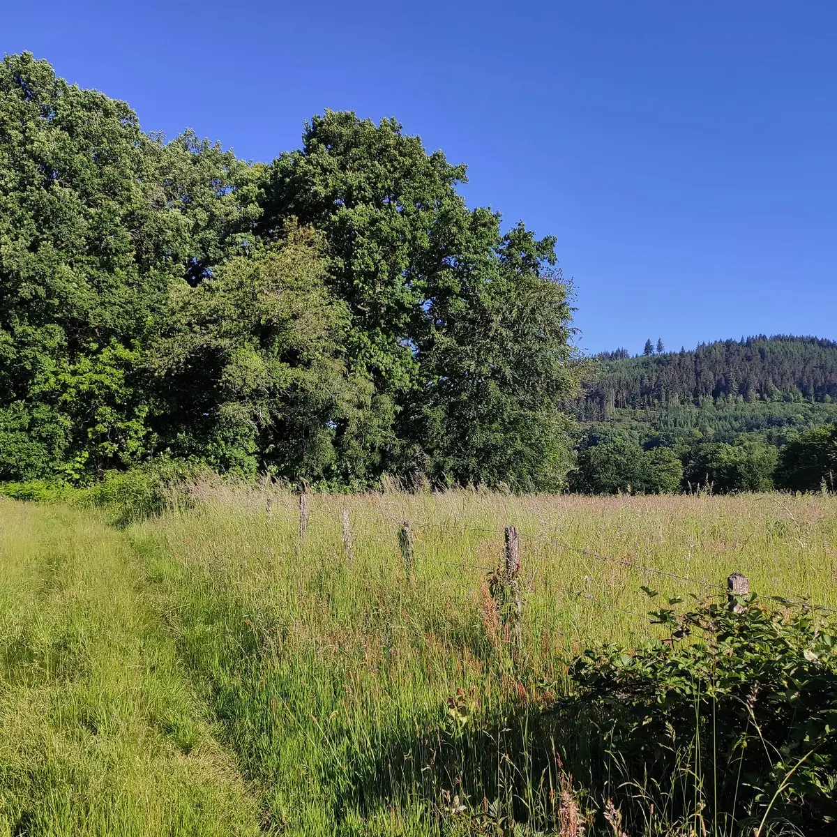 Vue sur le Mont Larron