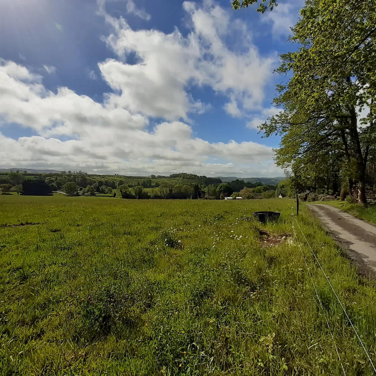 chemin dans campagne
