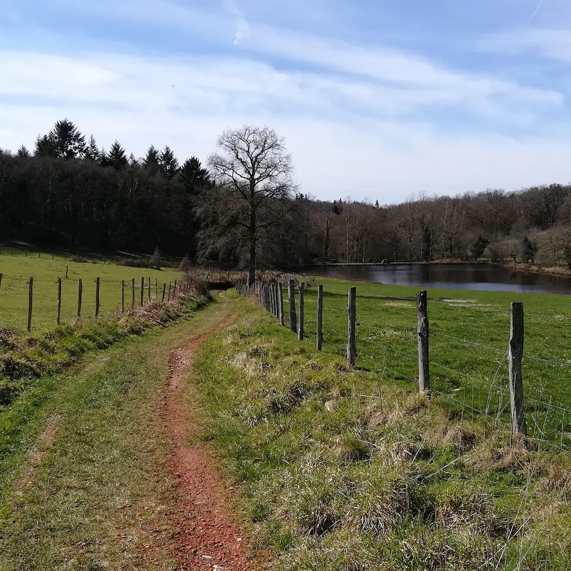 chemin et étang Aureil