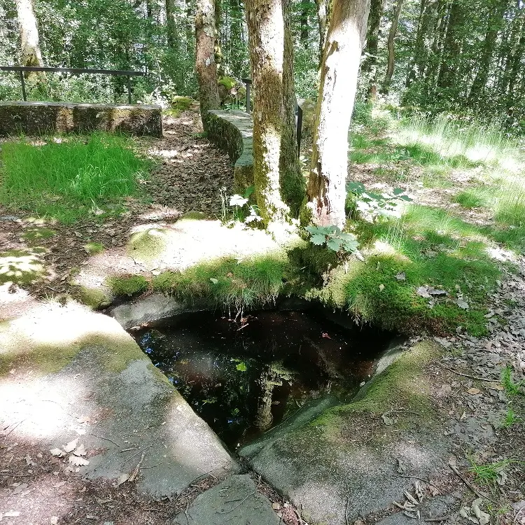 fontaine Ste Geneviève