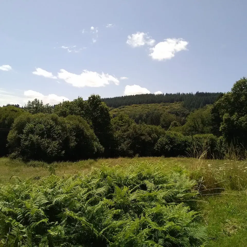 forêt monts d'ambazac