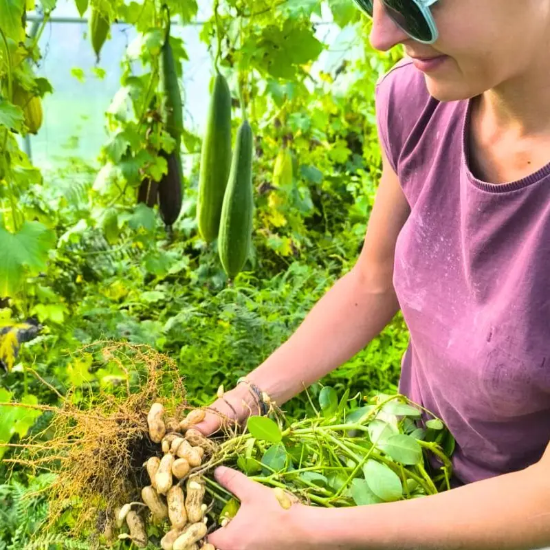 la-sitelle-bussiere-galant