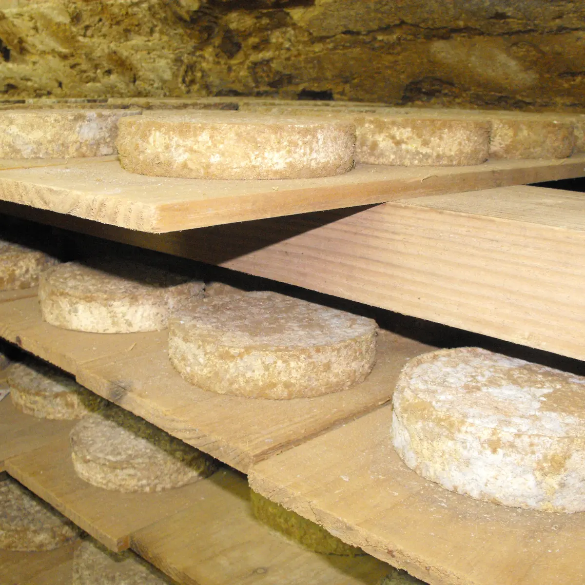 Fromage de la famille Mas de Feix_1