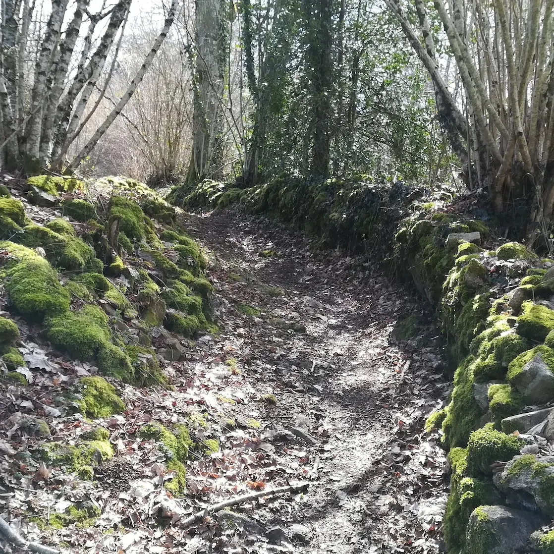 murets de pierres sèches