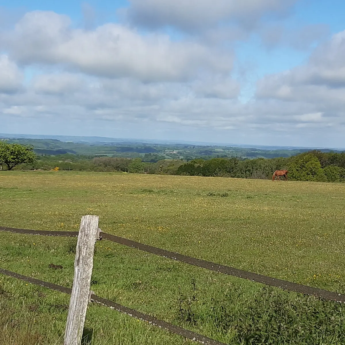panorama Mont Gargan