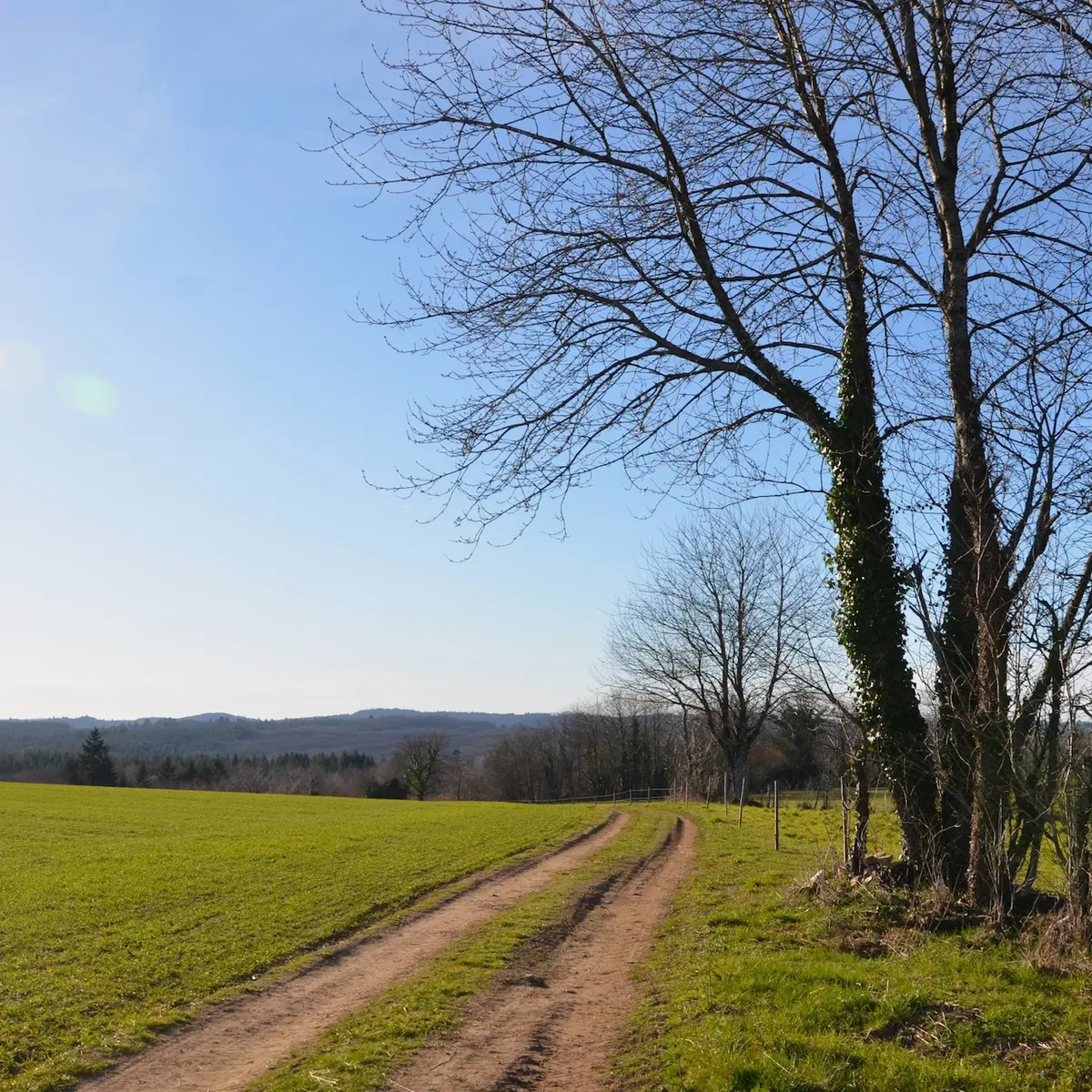 panorama circuit de Caux_Magnac Bourg