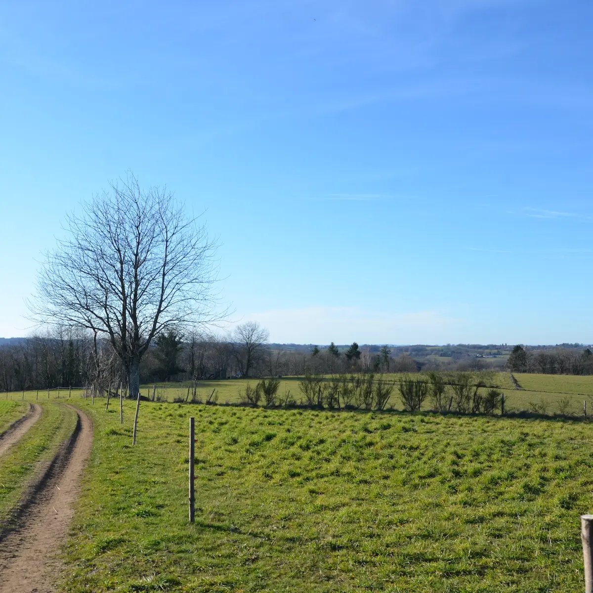 paysage circuit de caux