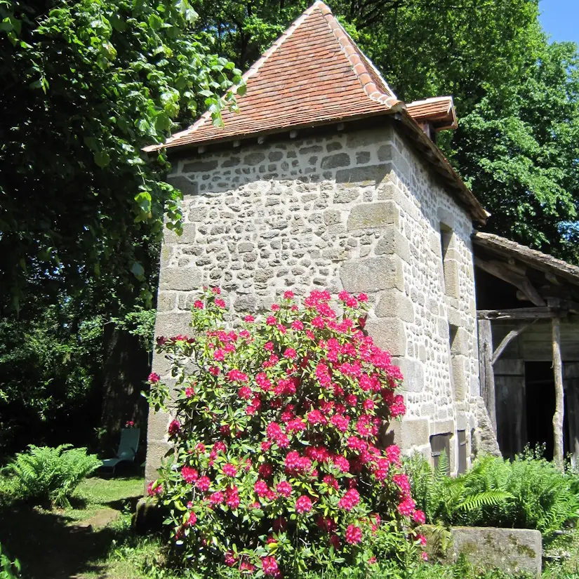 razès pigeonnier