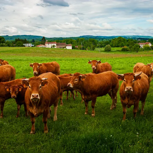 sentier catalacoise 1