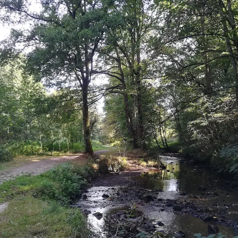 sentier les Biards bord de l'Aurence