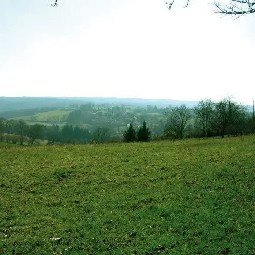 Sentier Puy du Thé - piste 4_4