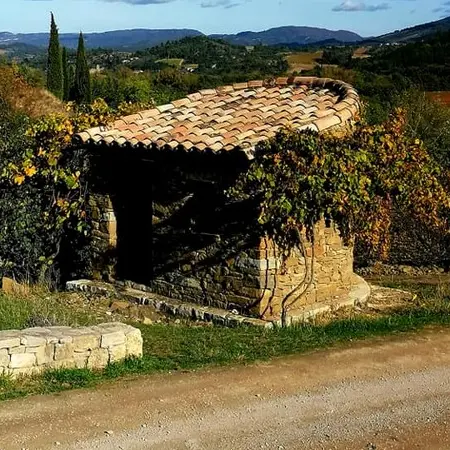 123503178_1609821202522819_2055394205640517023_n