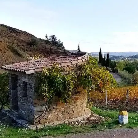 123771097_1613426655495607_8401506632823245108_o